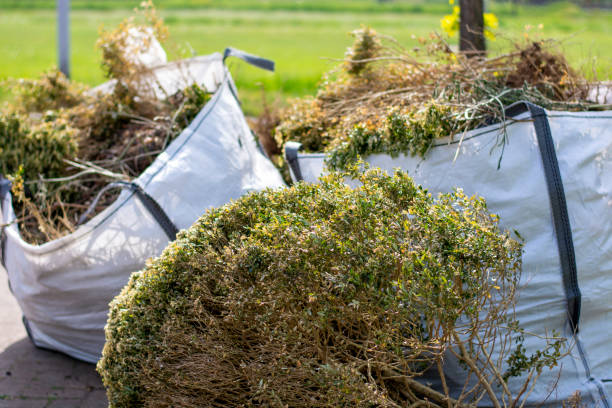 Professional Junk Removal Services in Centerville, OH